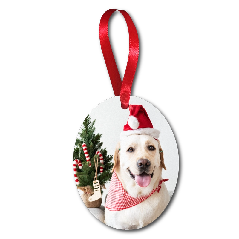 Oval Ornament