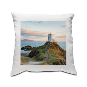 Cushion Cover - Pack of 5