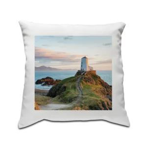 Cushion Cover - Pack of 5