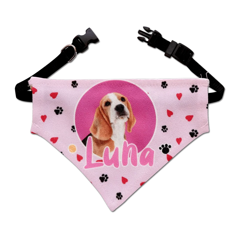 Dog Bandana with Black Collar