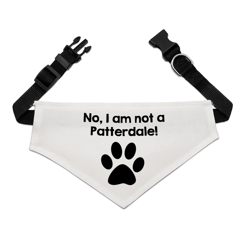 Dog Bandana with Black Collar