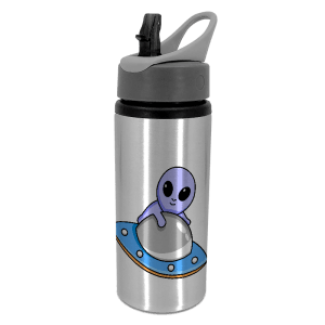 Silver Drink Bottle with Handle 22oz