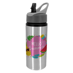 Silver Drink Bottle with Handle 22oz