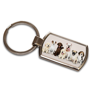 Large Rectangle Keyring ready for sublimation printing with a printable area of 3.8 x 2cm.