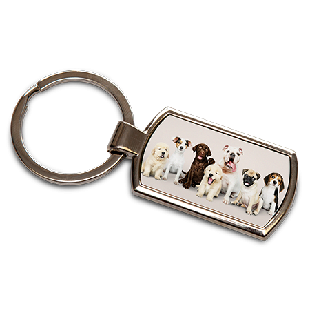 Rectangle Keyring with Insert