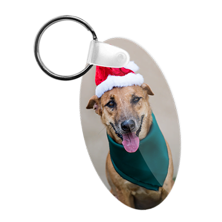 Chromaluxe Aluminium Keyring Oval 6 5 X 3 5cm 2 5 X 1 4 Pack 50 Nova Chrome Uk Chromaluxe Aluminium Keyring Oval 6 5 X 3 5cm 2 5 X 1 4 Pack 50 Nova Chrome Uk