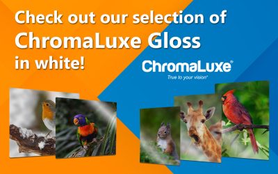 ChromaLuxe White Gloss Panels